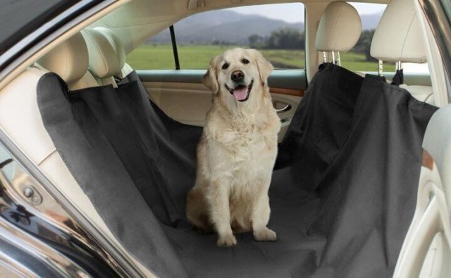 Housse de protection auto pour chien sièges arrière NORAUTO